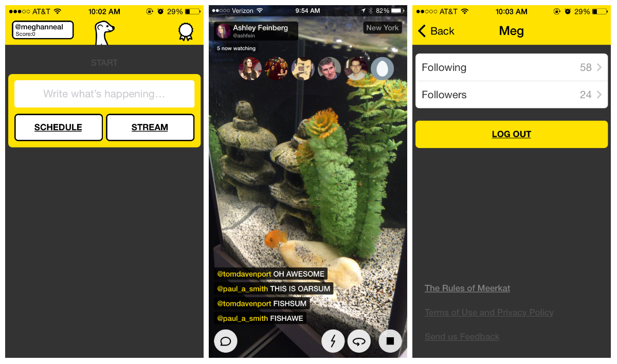 What Is Meerkat, And Should You Even Bother?