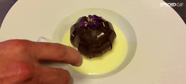 Chocolate Dessert Blooms Like A Flower Right Before You Eat It