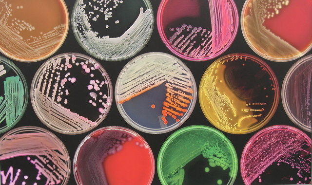 How Scientists Will Find Your Next Antibiotic In This Pile Of Dirt