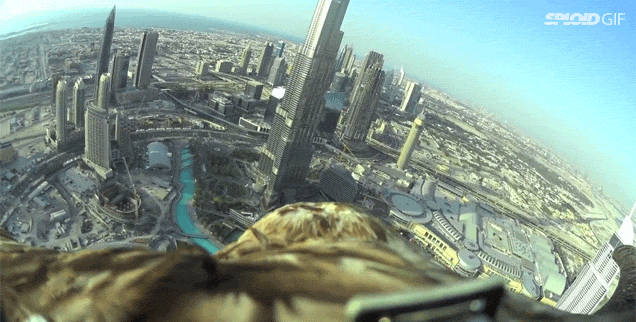 Eagle Flies Above Dubai From The Burj Khalifa And Nails Target Landing