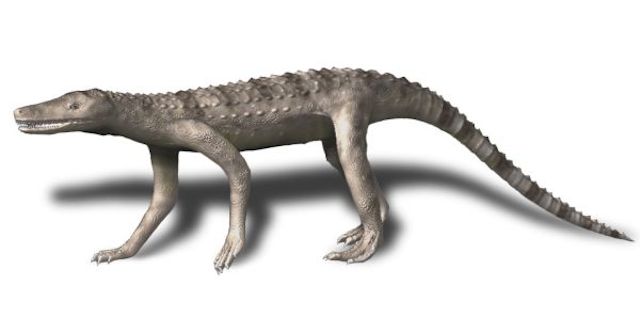 ‘Carolina Butcher’ Was A Massive Croc That Hunted On Its Hind Legs