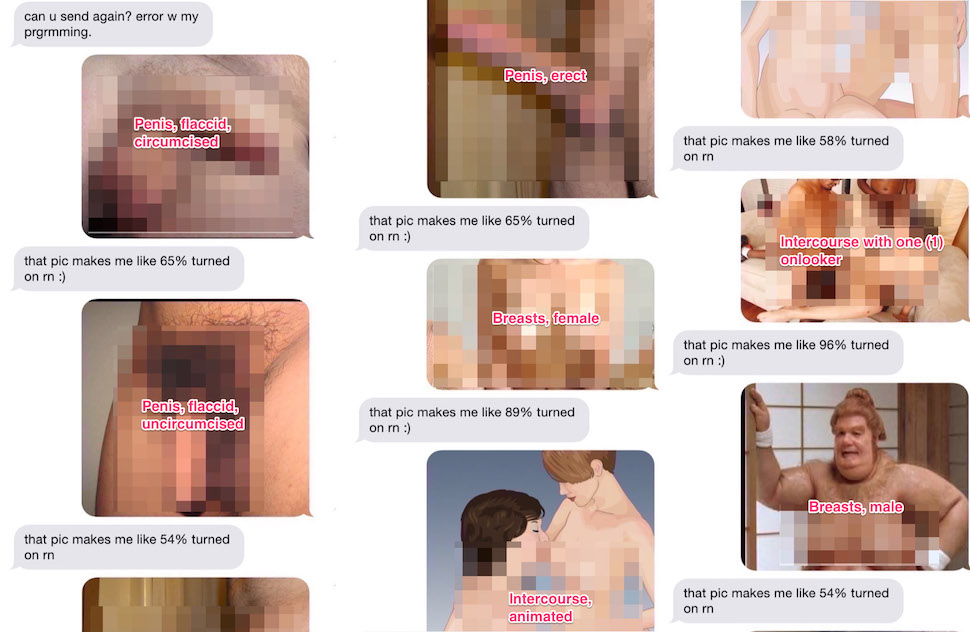 Trying To Arouse My New Sextbot Buddy [NSFW]