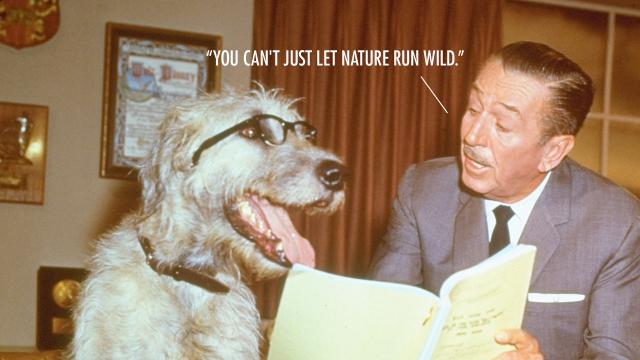 8 Walt Disney Quotes That Are Actually Fake