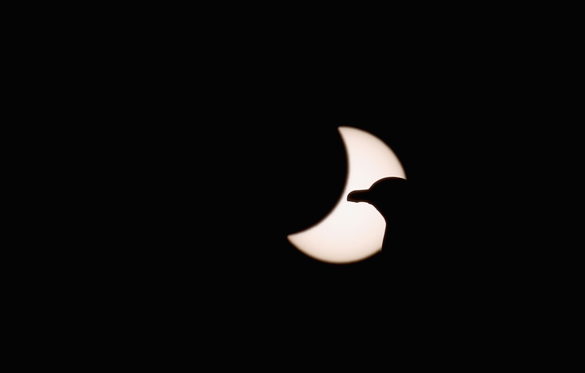 The Solar Eclipse In 22 Stellar Photos
