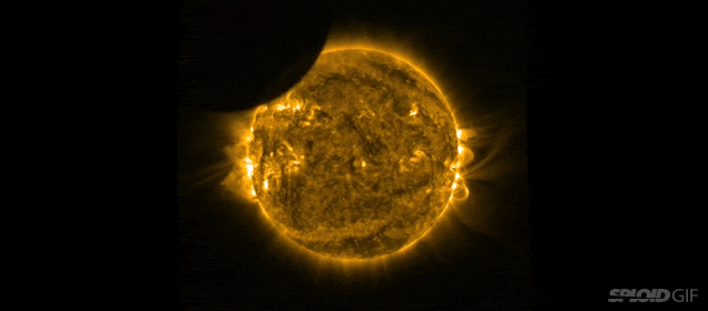 The Best Solar Eclipse Videos