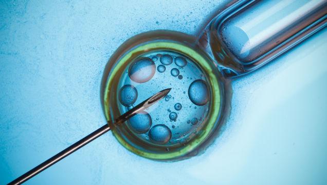 Only About 2000 Babies Have Been Born Using Cryogenic Egg-Freezing