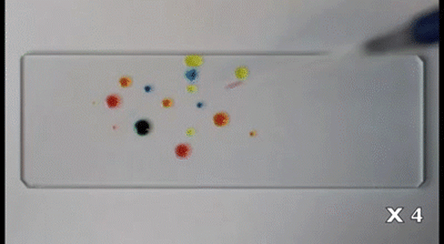 These Colourful Liquid Droplets Chase Each Other Like Living Organisms
