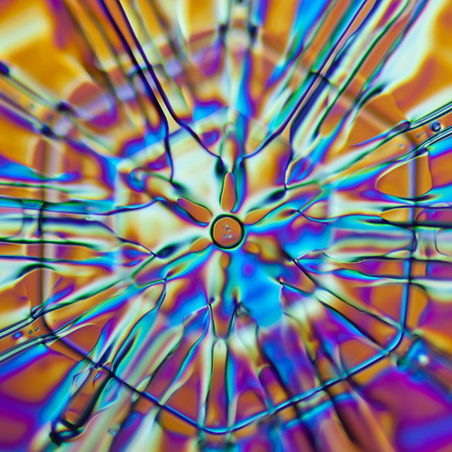 Science Photographer Reveals Beauty Of The Microscopic World
