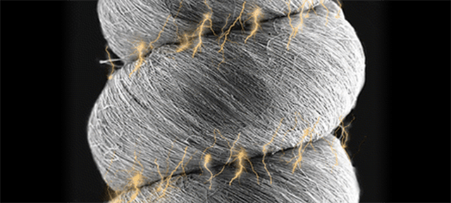 New Nanofibre Is Tougher Than Kevlar And Stretches 7 Times Its Length