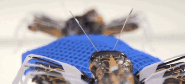 These 3D-Printed Ants Could Be The Factory Workers Of The Future