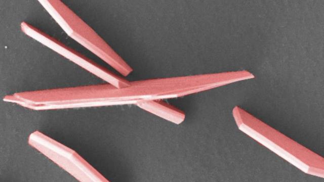 These New Semiconductors Look Just Like Lollies