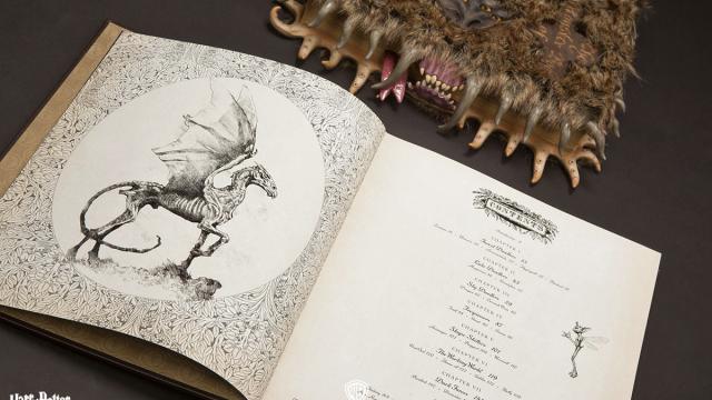 That Monster Book Of Monsters Replica Comes With A Real Textbook