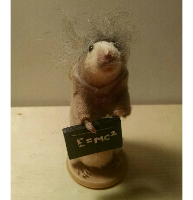 Reviews Of An Etsy Seller Who Poses Dead Mice As Pop Culture Icons