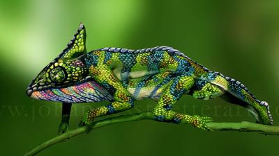This Chameleon Is Actually An Amazing Bodypainting 