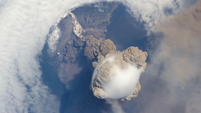 Volcanic Eruptions May Have Helped Some Life Forms Survive An Apocalypse