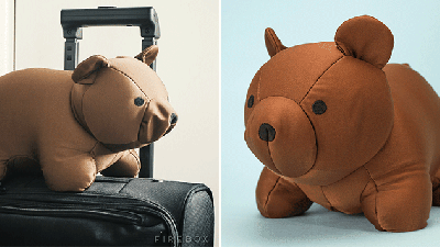 Conquer Your Fear Of Flying With This Brave Transforming Bear Pillow