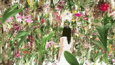 This Floating Flower Garden Is Like A Magical Dreamland Forest