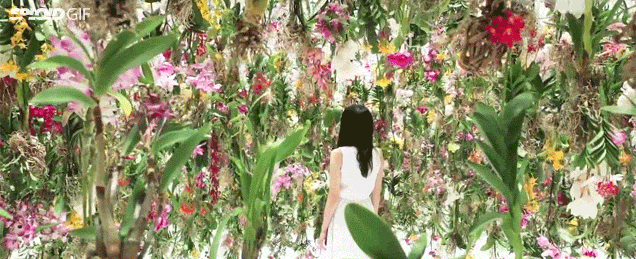 This Floating Flower Garden Is Like A Magical Dreamland Forest