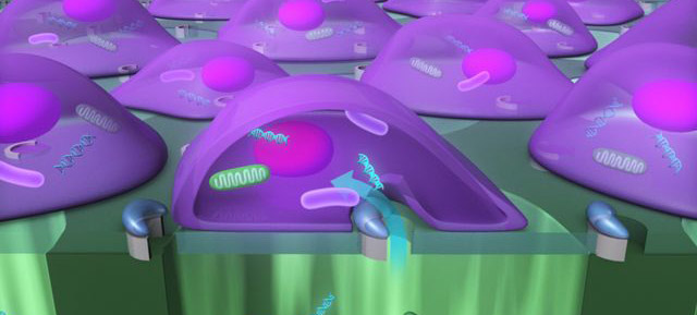 Scientists Can Quickly Blast Large Cargoes Into Living Cells With Light