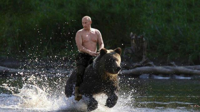 Russia Is Outlawing Celebrity Memes