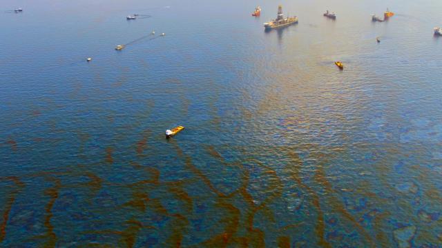 Dispersant Used To Fight Deepwater Horizon More Toxic To Coral Than Oil