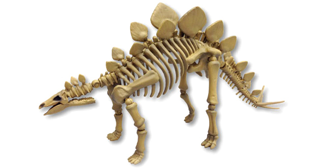 Have Your Own Night At The Museum With Fully Poseable Dino Skeletons