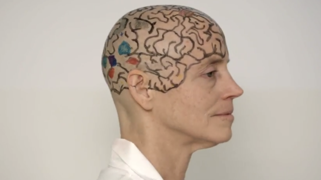 An MIT Professor Shaved Her Head To Teach You Neuroanatomy 