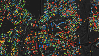 Every Tree In New York City, Mapped By Species