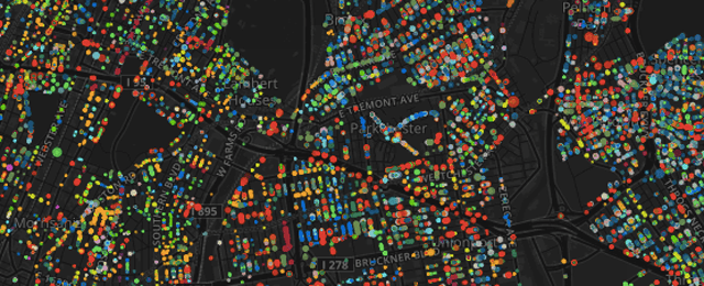 Every Tree In New York City, Mapped By Species
