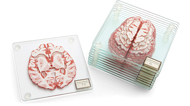 Learn About The Brain While Destroying Yours With These Drink Coasters