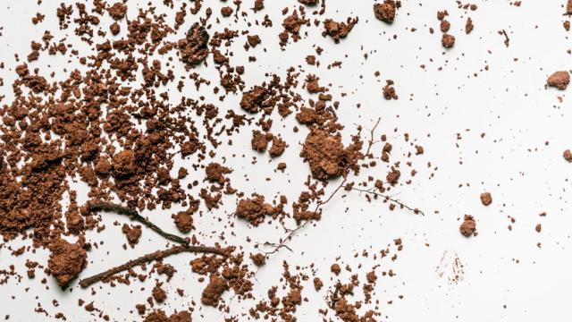 How A Forensic Scientist Uses Dirt To Solve Murders 