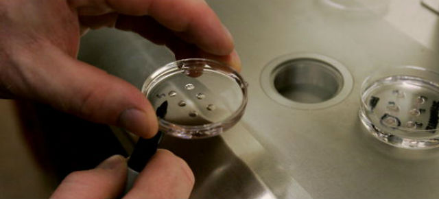 Scientists Edited A Human Embryo — But It Didn’t Go Very Well