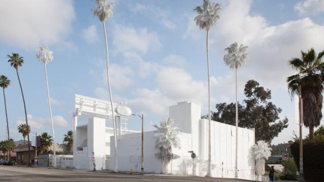 Why An Artist Totally Whitewashed This Motel — Palm Trees And All