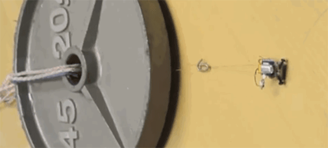 This Tiny Robot Can Pull Weights 2000 Times Heavier Than Itself