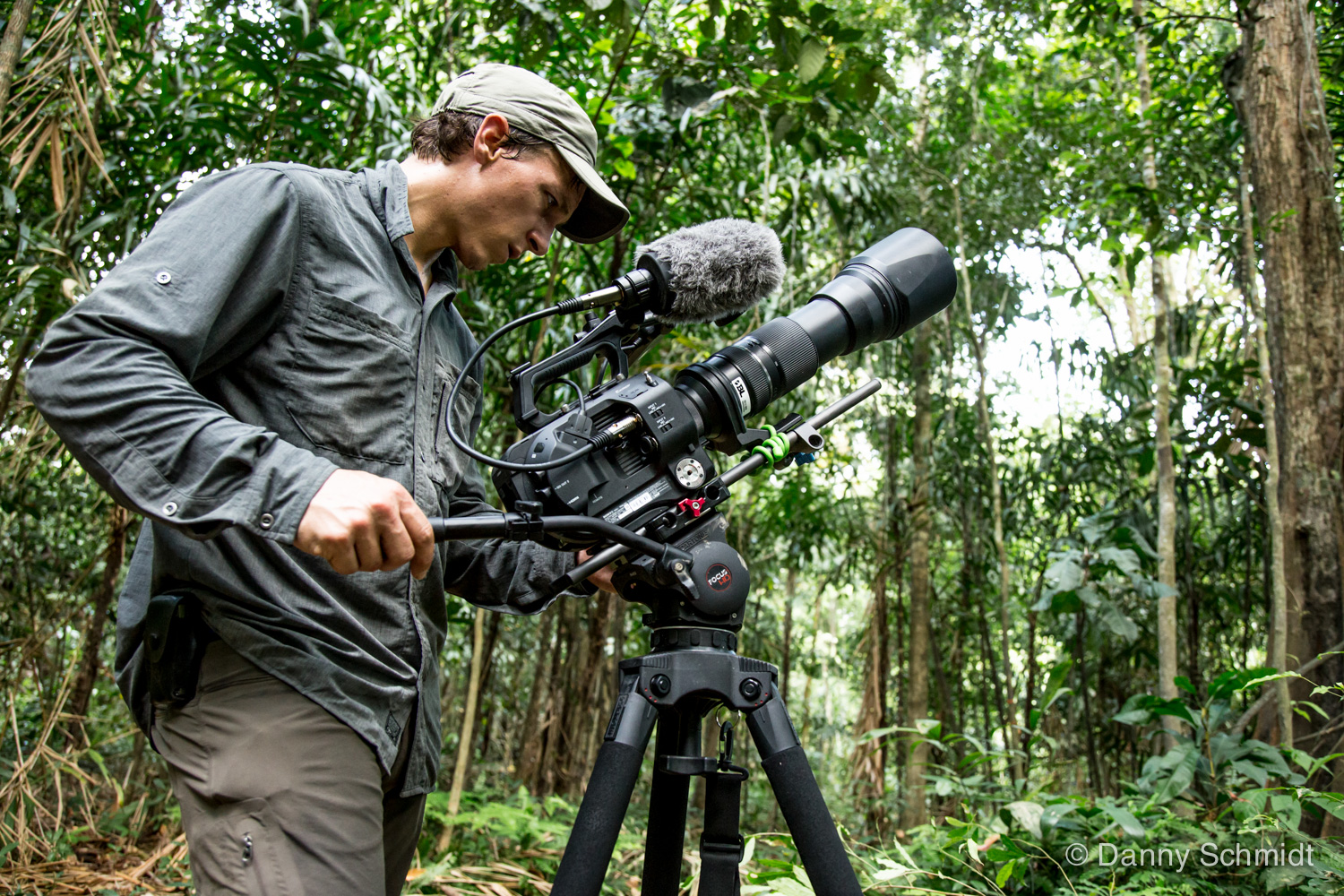 Ghost Monkeys Bring Ill Tidings To Colombian Rainforest