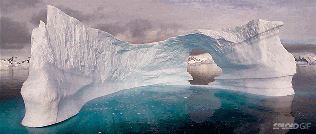 Video: The Stunning Still Beauty Of Antarctica