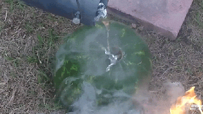 What Happens When You Pour Molten Aluminium Into A Watermelon