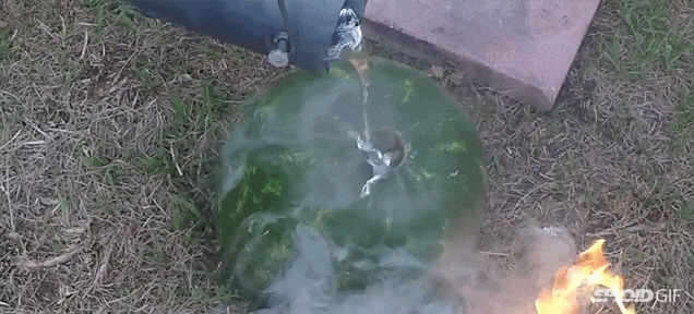 What Happens When You Pour Molten Aluminium Into A Watermelon