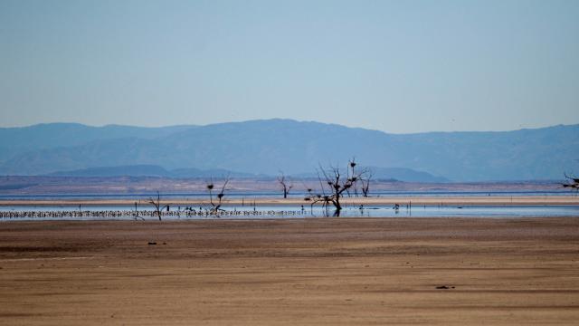California’s Drought Is Making Its Dying Inland Sea Even More Toxic