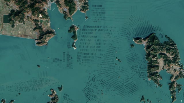 Beautiful NASA Satellite Photos Reveal South Korea’s Seaweed Farms