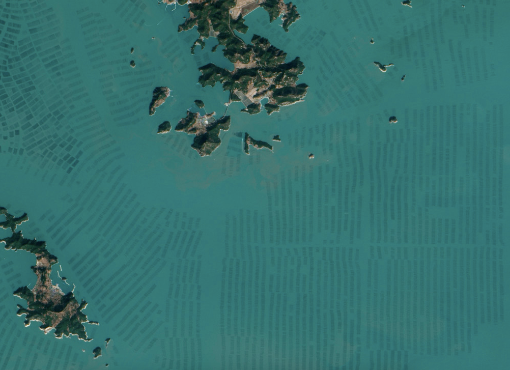Beautiful NASA Satellite Photos Reveal South Korea’s Seaweed Farms