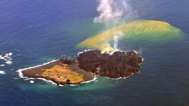 How Bird Poop Helps Populate A New Volcanic Island With Life