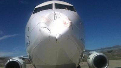 What Happens When A Flock Of Birds Hits An Aeroplane Head On