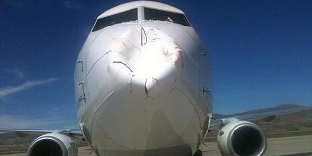 What Happens When A Flock Of Birds Hits An Aeroplane Head On