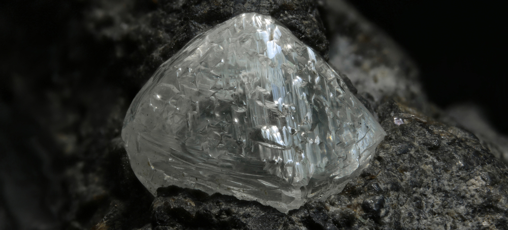 An Obscure African Plant Tells Miners Where To Look For Diamonds 
