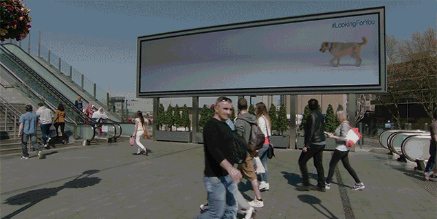 Dogs Follow People Across Billboards In This Clever Adoption Campaign