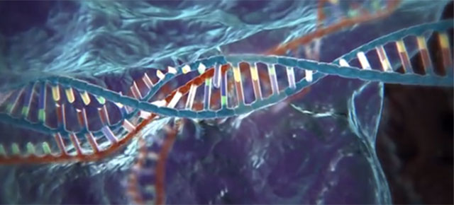 Giz Explains: Everything You Need To Know About CRISPR, The New Tool That Edits DNA