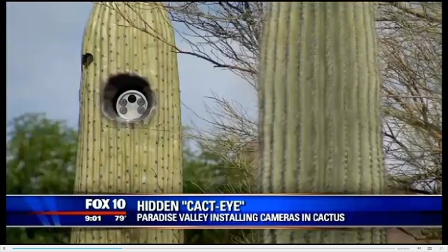Great, Now Even Cacti Can Spy On Us