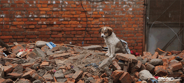 Short Documentary: What It’s Like To Be In Nepal After The Earthquake