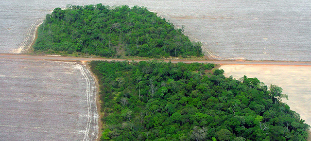 China Wants To Build A 3000-Mile Railway Through The Amazon